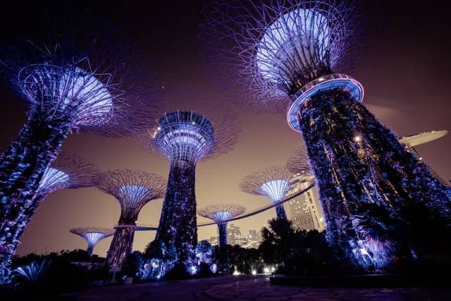 Energy Trees in Singapore, an example of innovation. Credit: