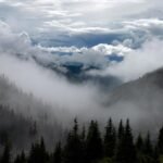 La innovación sostenible permite a las empresas ser más competitivas para enfrentar los desafíos del cambio climático.