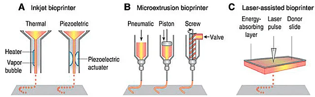 Esquema que presenta las técnicas de bioimpresión: (A) Bioimpresión por gota. (B) Bioimpresión por extrusión. (C) Bioimpresión por láser. Fuente: Maresca et al., (2023); Cell.