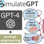 Resumen gráfico de la investigación. Fuente: Schaefer et al., (2024); Computers in Biology and Medicine, 178, 108796.