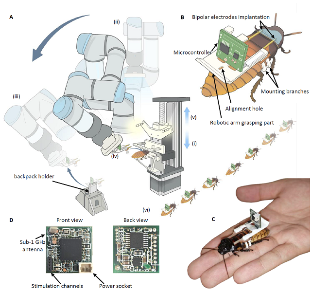 Prototype of the automated cyborg insect factory assembly line. Source: Lin et al. (2025); Nat Commun 16, 6073.